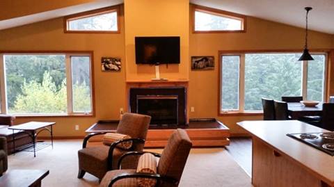 interior of duplex with fireplace and tv