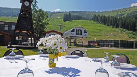 Flowers in a vase on a table with a view of Schweitzer in the background. 