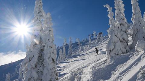 Skier during a guided tour at Schweitzer 