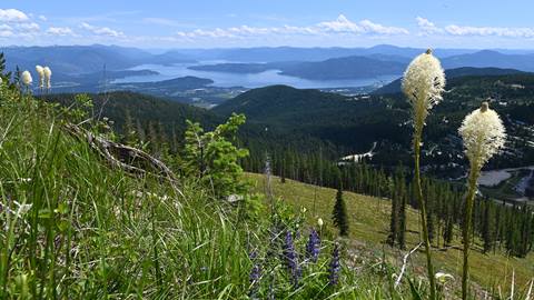 beargrass photo with the lake in the background