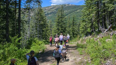 kids on hike at schweitzer