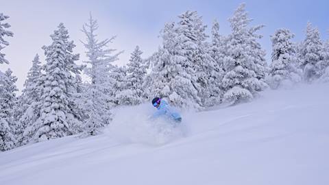 person snowboarding in powder