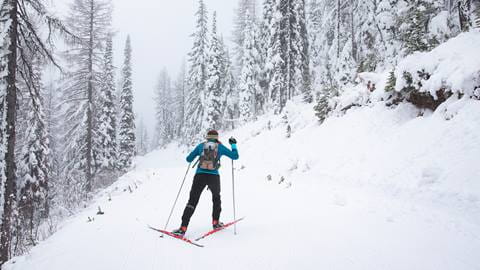 Nordic skiers at Schweitzer 