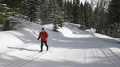 Nordic skier at Schweitzer 