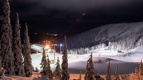 twilight skiing basin express trees